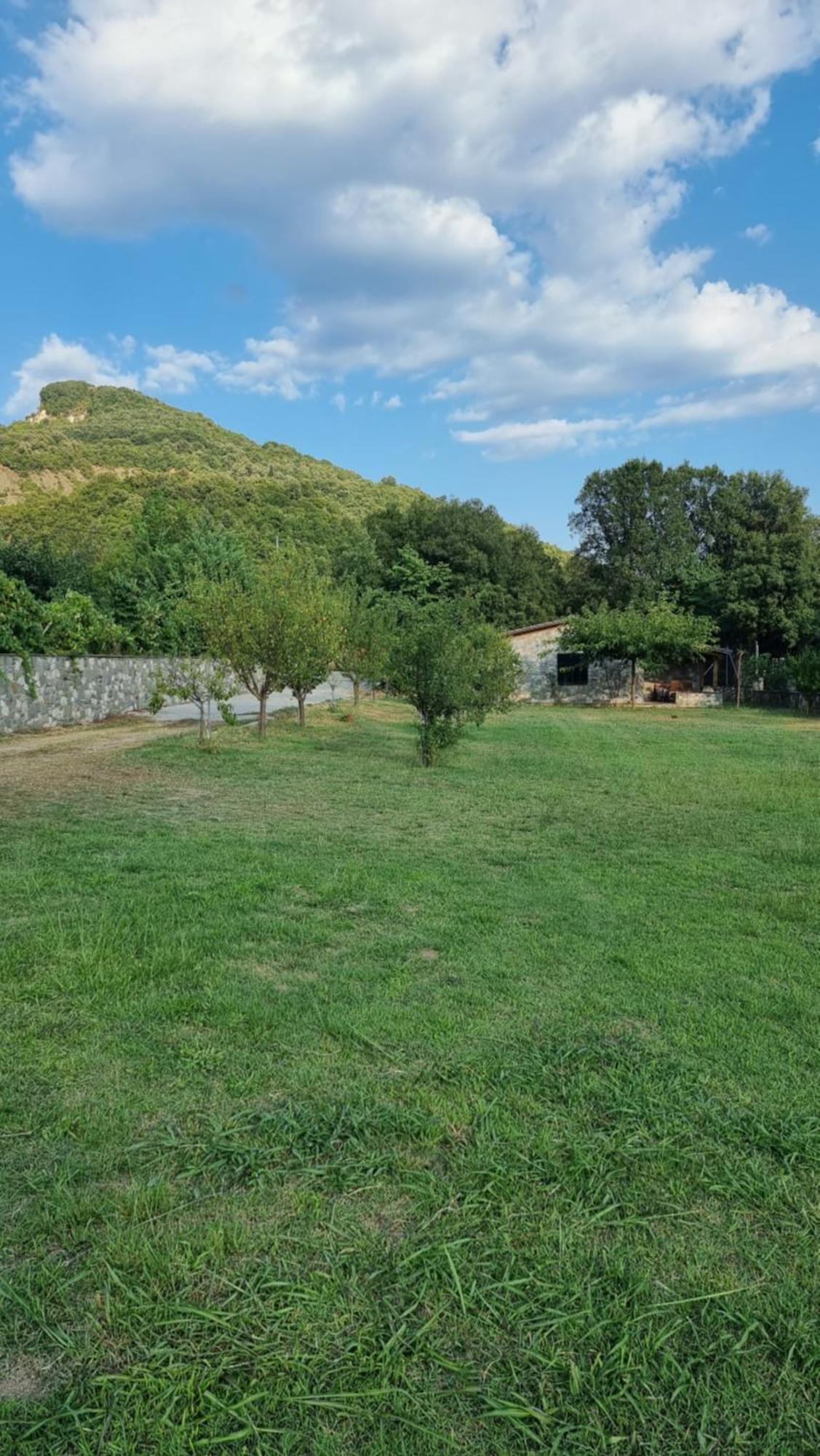 House With Big Garden And Barbeque In Nature Vourgareli Dış mekan fotoğraf